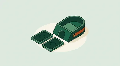 Two face-down cards beside an empty card shoe