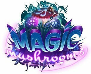 Magic mushroom slot from Yggdrasil