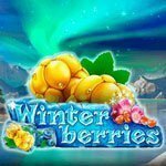 winterberries slot