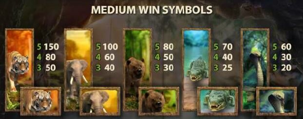 Jungle Spirit-Symbol Values