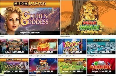 Wildwin live casino