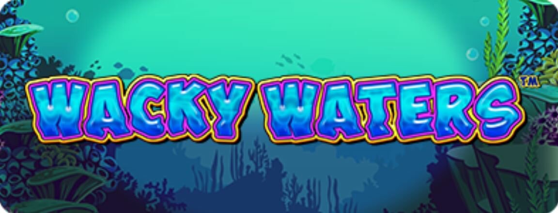 wacky waters Castle