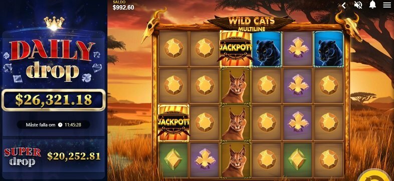 wild cats jackpot