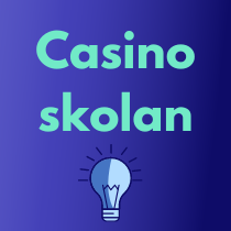 learn to play casino