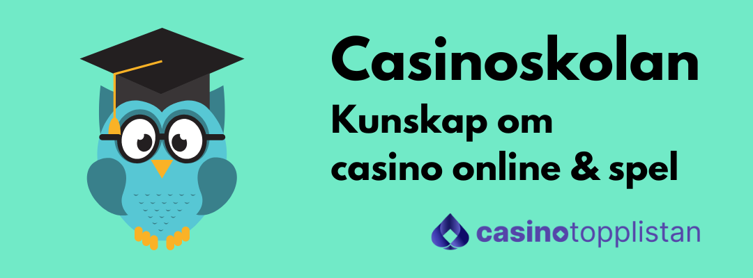 casino school-casino-online games