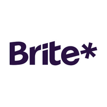 brite payment method log